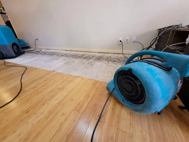 Professional Emergency Water Damage technician working in Fruitland, MD